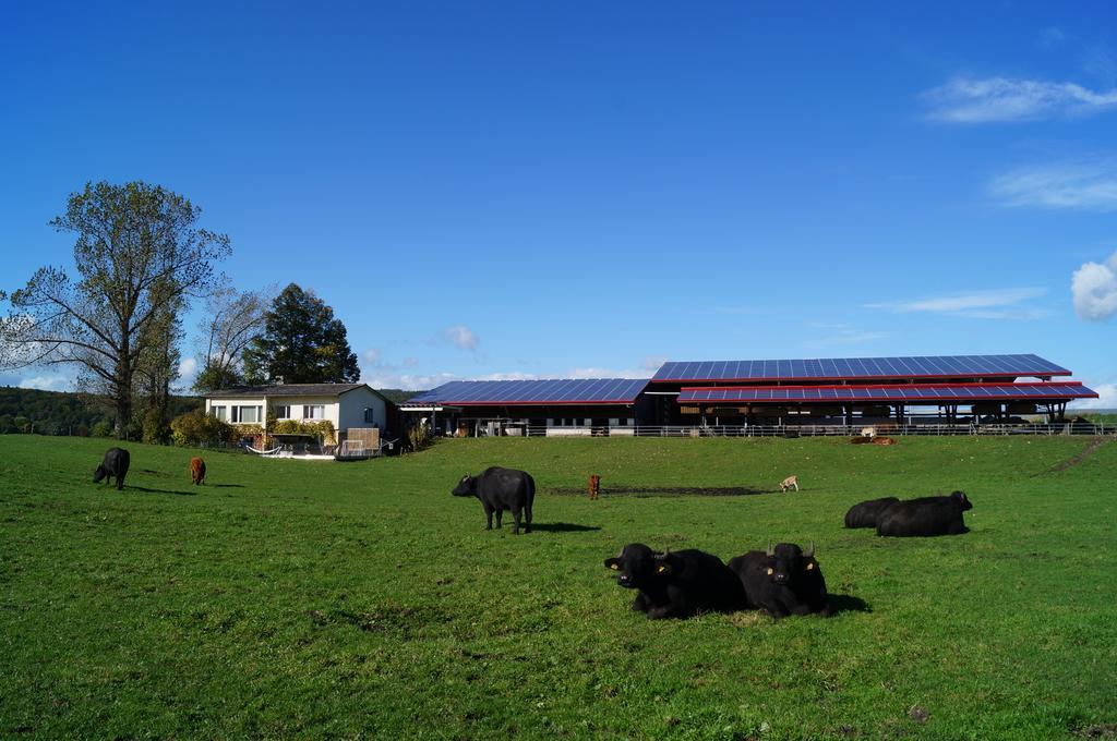 Bolderhof Villa Hemishofen Ruang foto