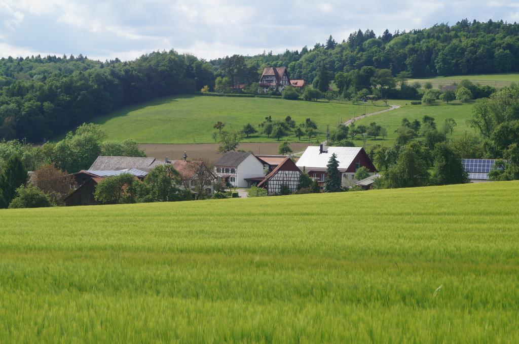 Bolderhof Villa Hemishofen Bagian luar foto